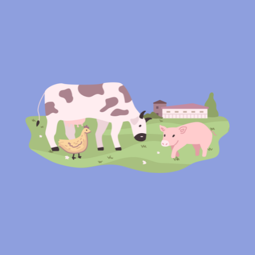 Animales y Naturaleza