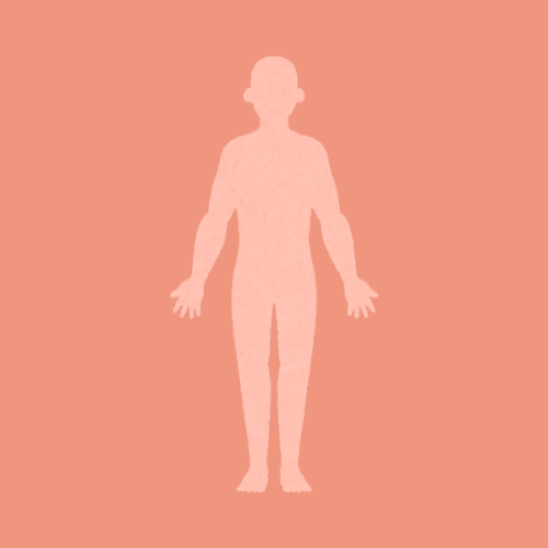 Cuerpo Humano