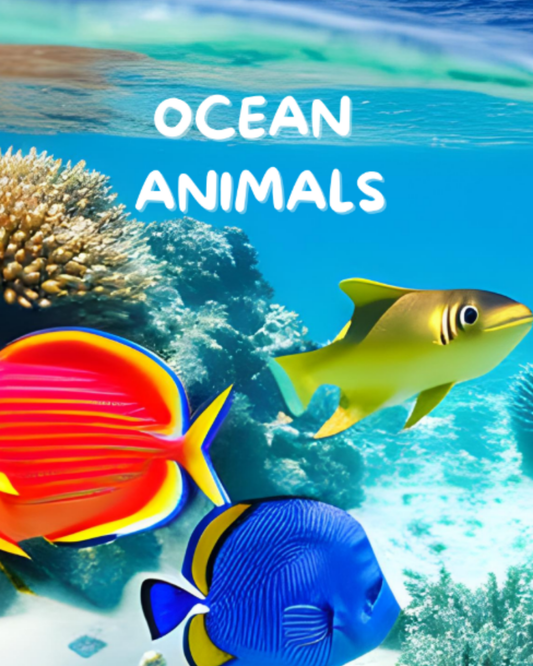 Ocean Animals