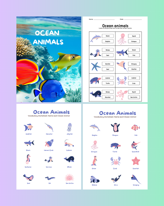Ocean Animals