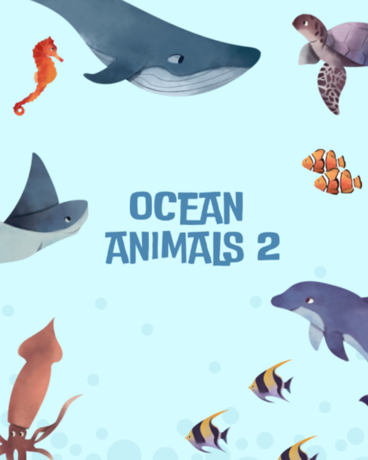 Ocean Animals 2