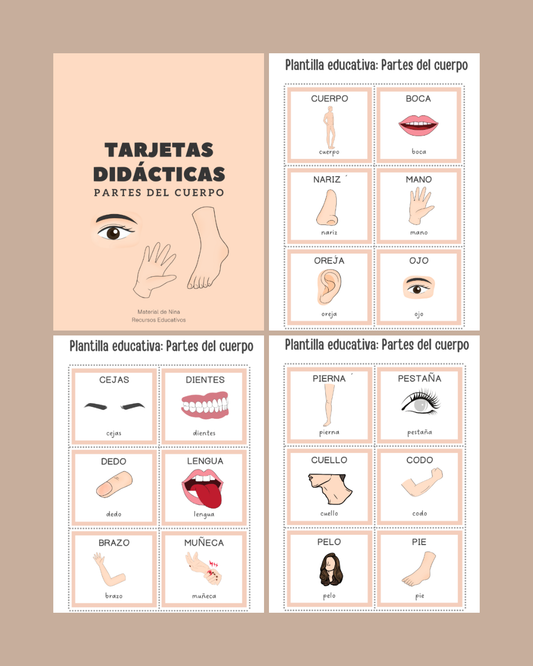 Tarjetas de Vocabulario del Cuerpo Humano para Niños: Aprende Jugando (Descarga Gratis)